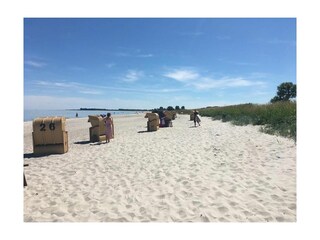 Sommertag am Strand von Pottloch