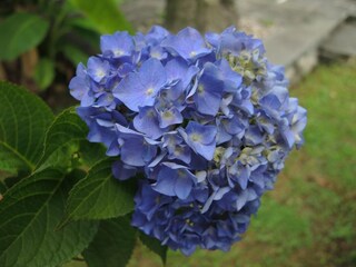 Holiday house Ascona Outdoor Recording 11