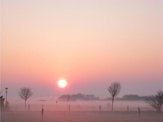 Die Morgensonne in der Marsch