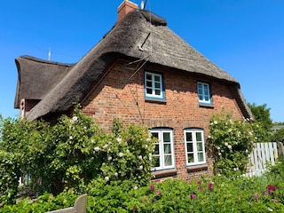 Ferienwohnung Oldsum auf Föhr Ausstattung 25