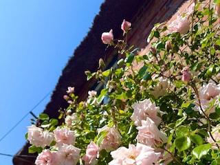 Ferienwohnung Oldsum auf Föhr Ausstattung 27