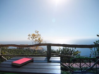 Reading by the sun