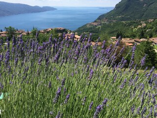 Appartamento per vacanze Tignale Registrazione all'aperto 25