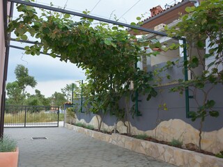 Casa per le vacanze Vodnjan Registrazione all'aperto 6