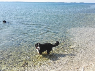 Hunde Strand  1 km vom Ferienhaus