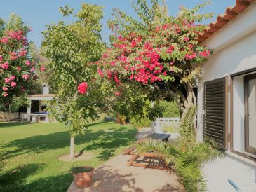 Ferienwohnung Pedra Mansa 9