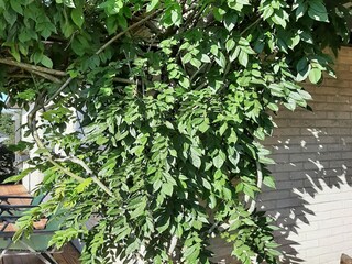 Casa vacanze Somme-Leuze Ambiente 20