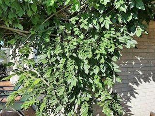 Holiday cottage Somme-Leuze Environment 20