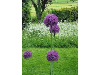 Appartamento Bad Saulgau Registrazione all'aperto 3