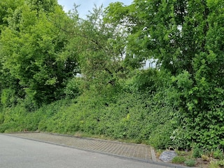 Appartamento Bad Saulgau Registrazione all'aperto 6