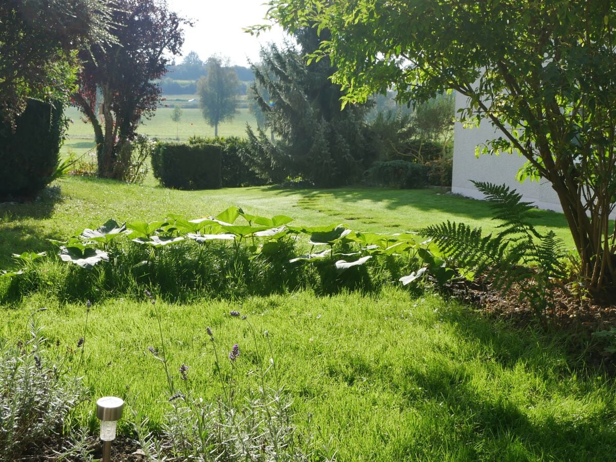 Aussicht von der Terrasse