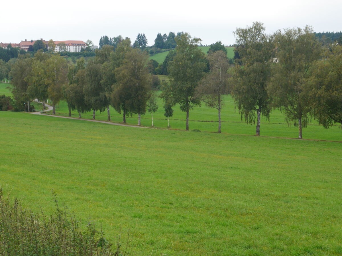 Blick zum Kloster Sießen