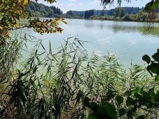 Appartamento Bad Saulgau Ambiente 36