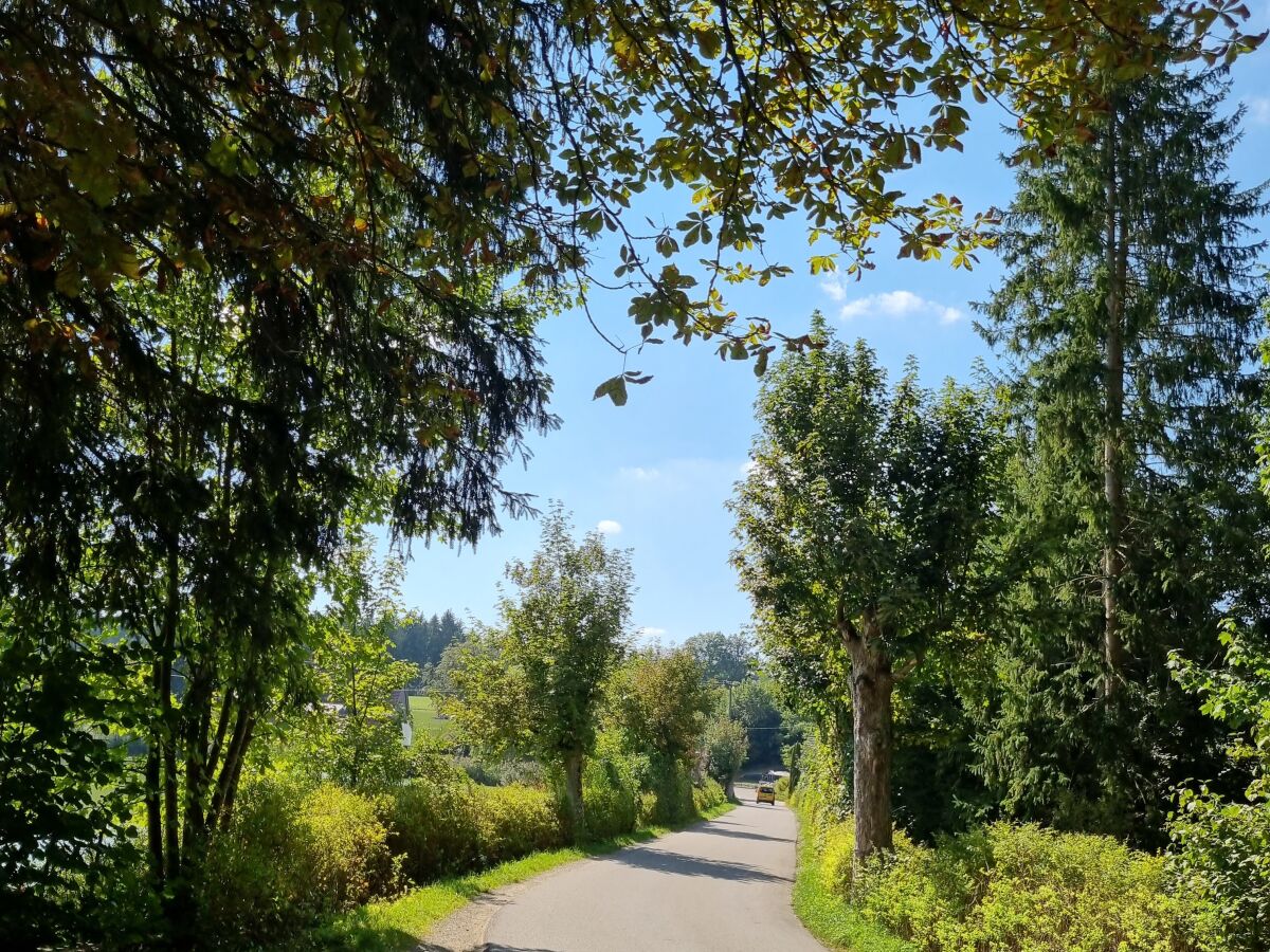 Fußweg  zur Sießener Säge