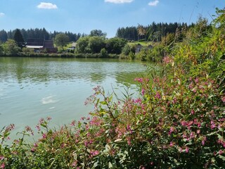 Appartamento Bad Saulgau Caratteristiche 20