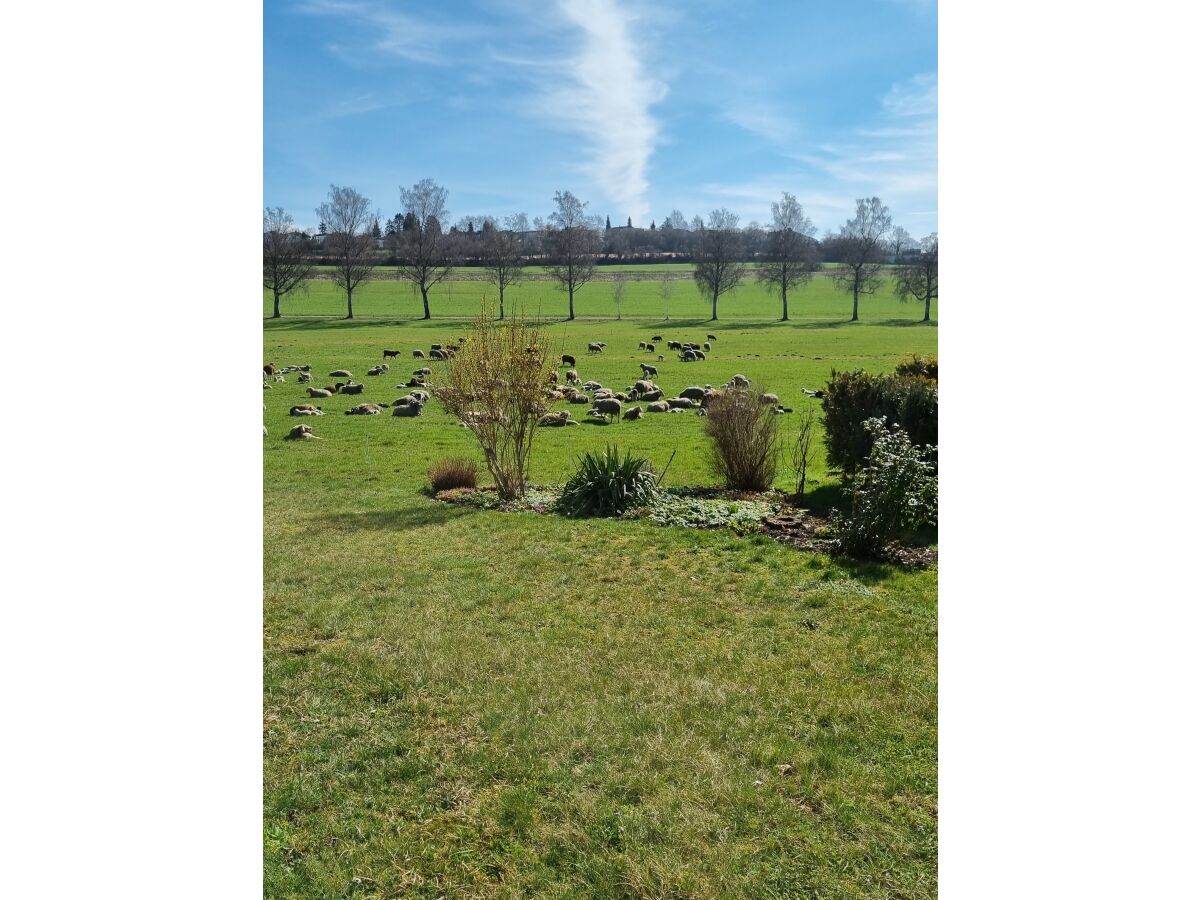 Aussicht von der Terrasse