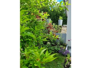 Appartamento Bad Saulgau Caratteristiche 21