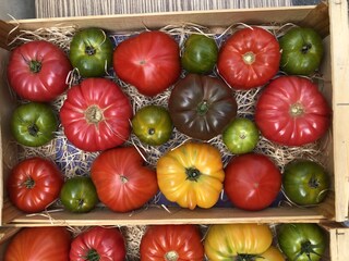 Casa per le vacanze Paradou Ambiente 35