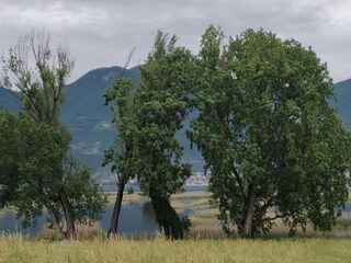 Vakantiehuisje Provaglio d'Iseo Omgeving 35