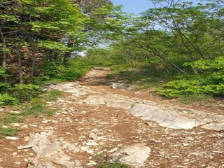 Type de propriété : Chalet Provaglio d'Iseo Environnement 31