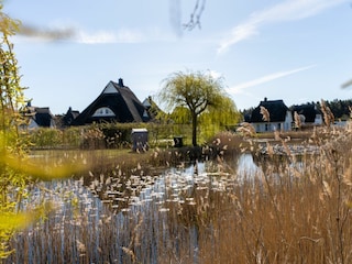 Gartenblick