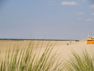 Vakantiehuis Renesse  23