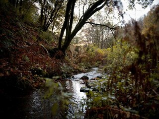 Appartamento Altenau im Oberharz Ambiente 17