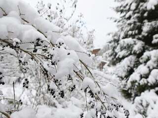 Appartement Altenau im Oberharz Omgeving 20
