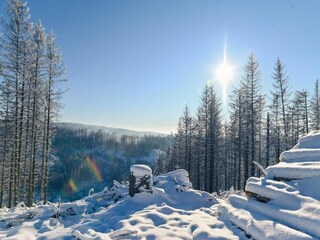 Apartamento Altenau im Oberharz Entorno 14