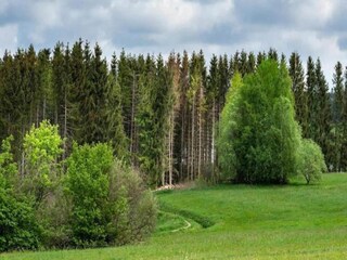 Appartamento Altenau im Oberharz Ambiente 22