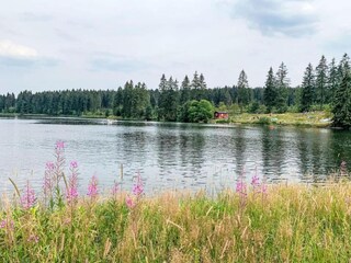 Apartamento Altenau im Oberharz Entorno 25