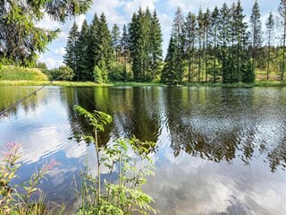Apartment Altenau im Oberharz Umgebung 20