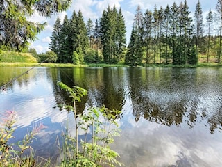 Apartment Altenau im Oberharz Umgebung 24