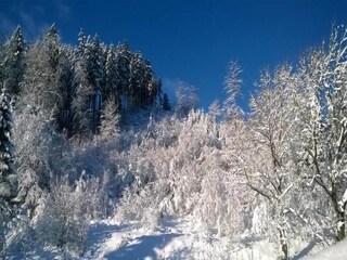 Apartamento Altenau im Oberharz Entorno 13