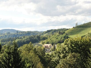 Ausblick vom Garten zum Weingut Silberberg