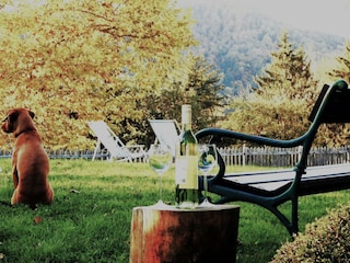 Ihr braves Haustier ist auf Anfrage willkommen