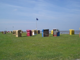 Strandkörbe am Grünstrand