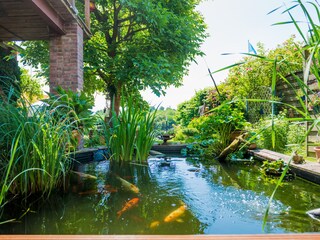 Ferienwohnung Cranz Außenaufnahme 3