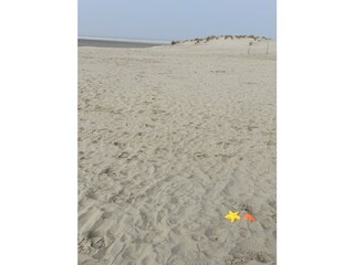 Appartamento per vacanze Borkum Ambiente 19
