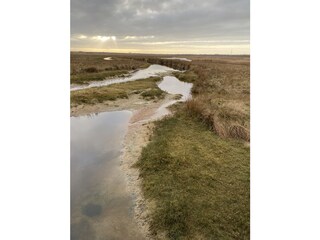 Appartamento per vacanze Borkum Ambiente 20