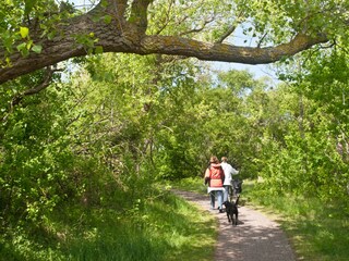 Apartamento de vacaciones Borkum Entorno 14
