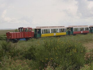 Borkum's Inselbahn