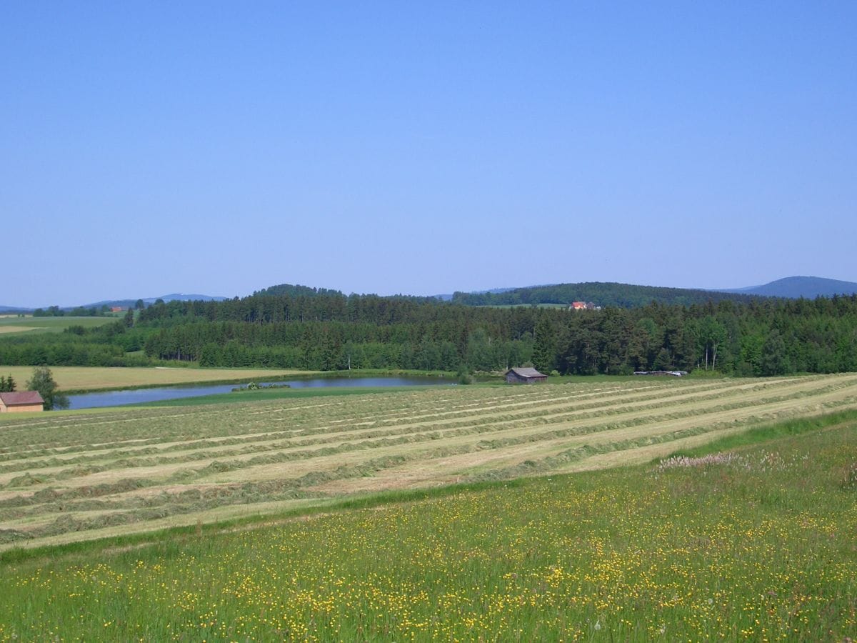 Eine Möglichkeit zum Angeln