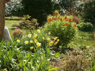 Der Garten im Frühling