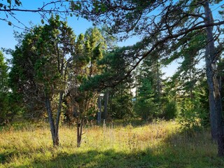 Holiday house Lärbro Outdoor Recording 5
