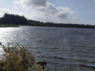 Ferienhaus Marielyst  29