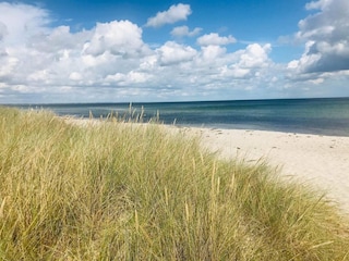 Ferienhaus Marielyst  18