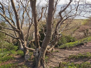 Vakantiehuis Ebeltoft  31