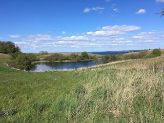 Casa de vacaciones Knebel  31