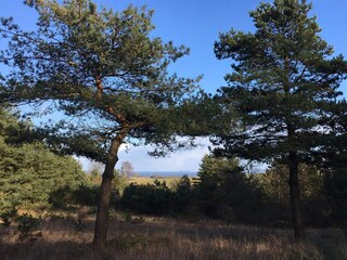 Casa de vacaciones Knebel  21